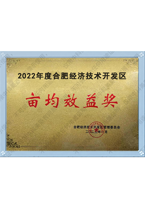2022年度合肥經(jīng)濟(jì)技術(shù)開發(fā)區(qū)畝均效益獎(jiǎng)